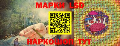 амф Гай
