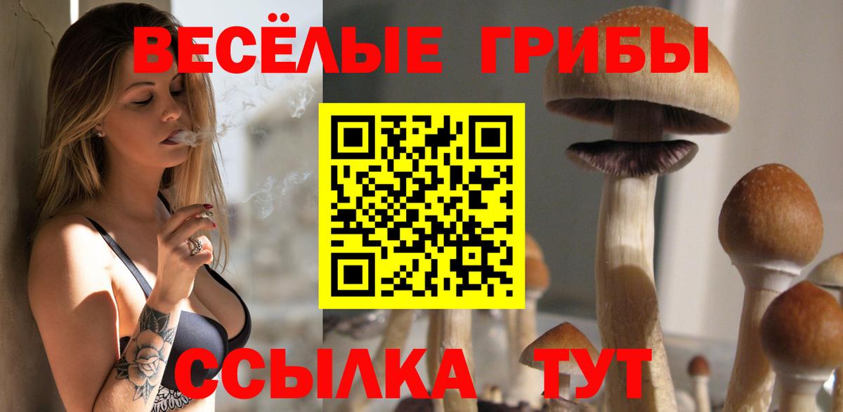 наркотики  Вход с VPN  Псилоцибиновые грибы Psilocybe  Горно-Алтайск  Галлюциногенные грибы Psilocybine cubensis 